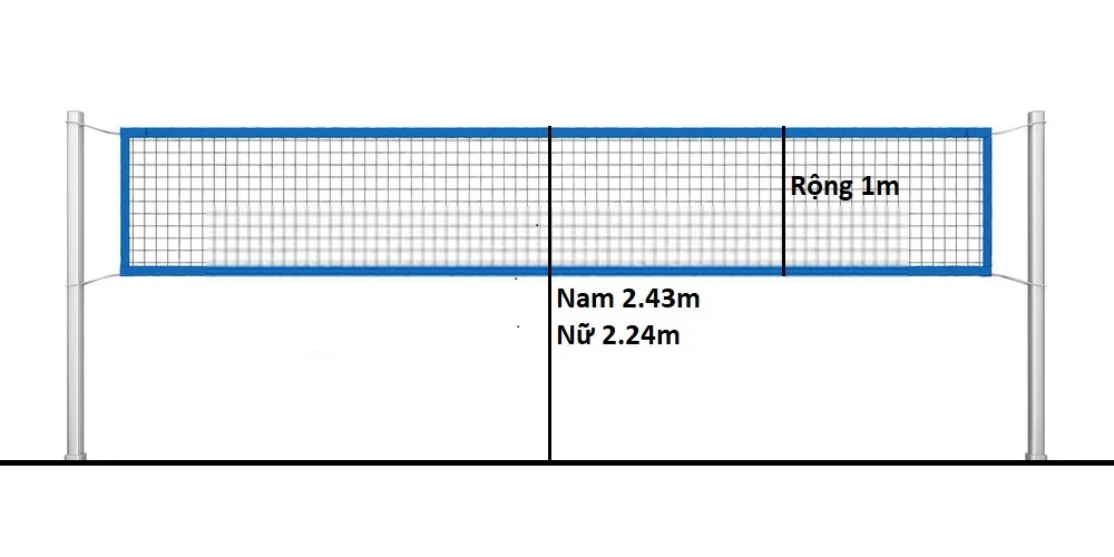 chiều cao lưới bóng chuyền  chi tiết nhất