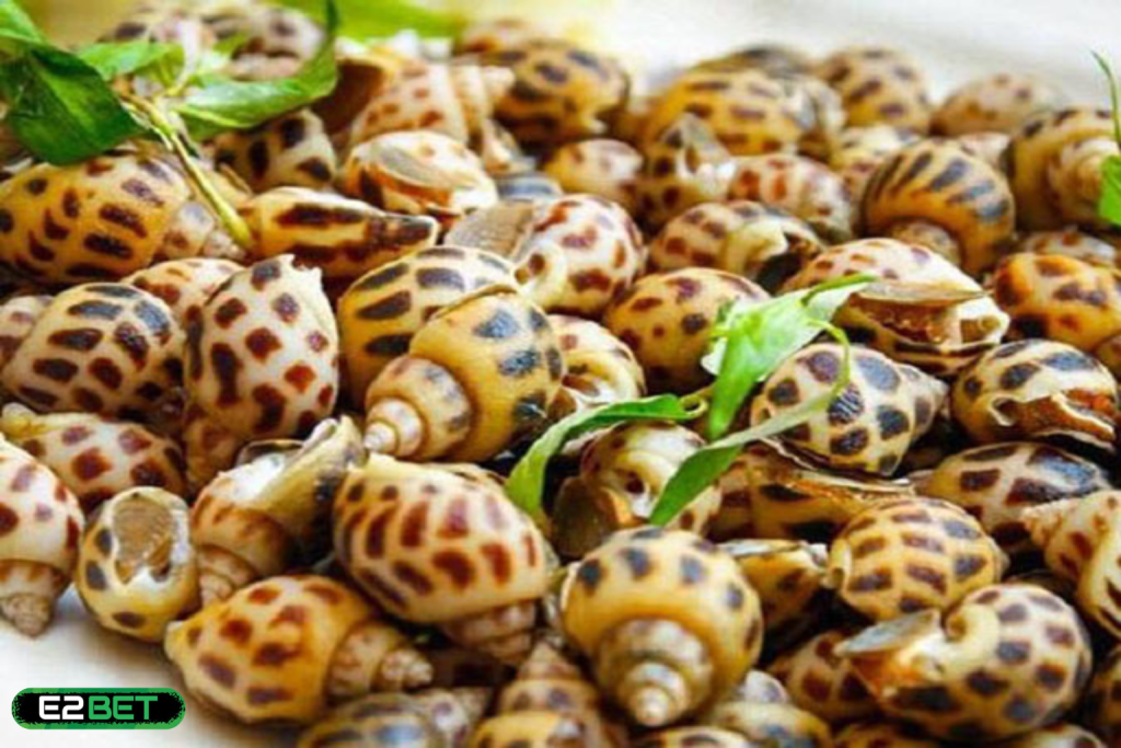 Mơ Thấy Ốc Đánh Con Gì? Giải Mã Giấc Mơ Thấy Ốc Từ A Đến Z